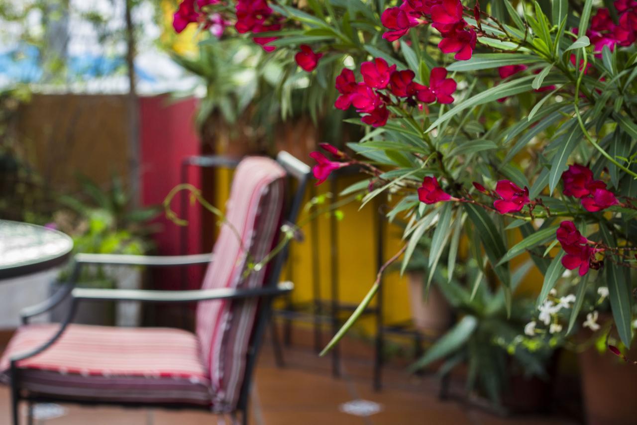 Abode Buenos Aires Bed and Breakfast Εξωτερικό φωτογραφία