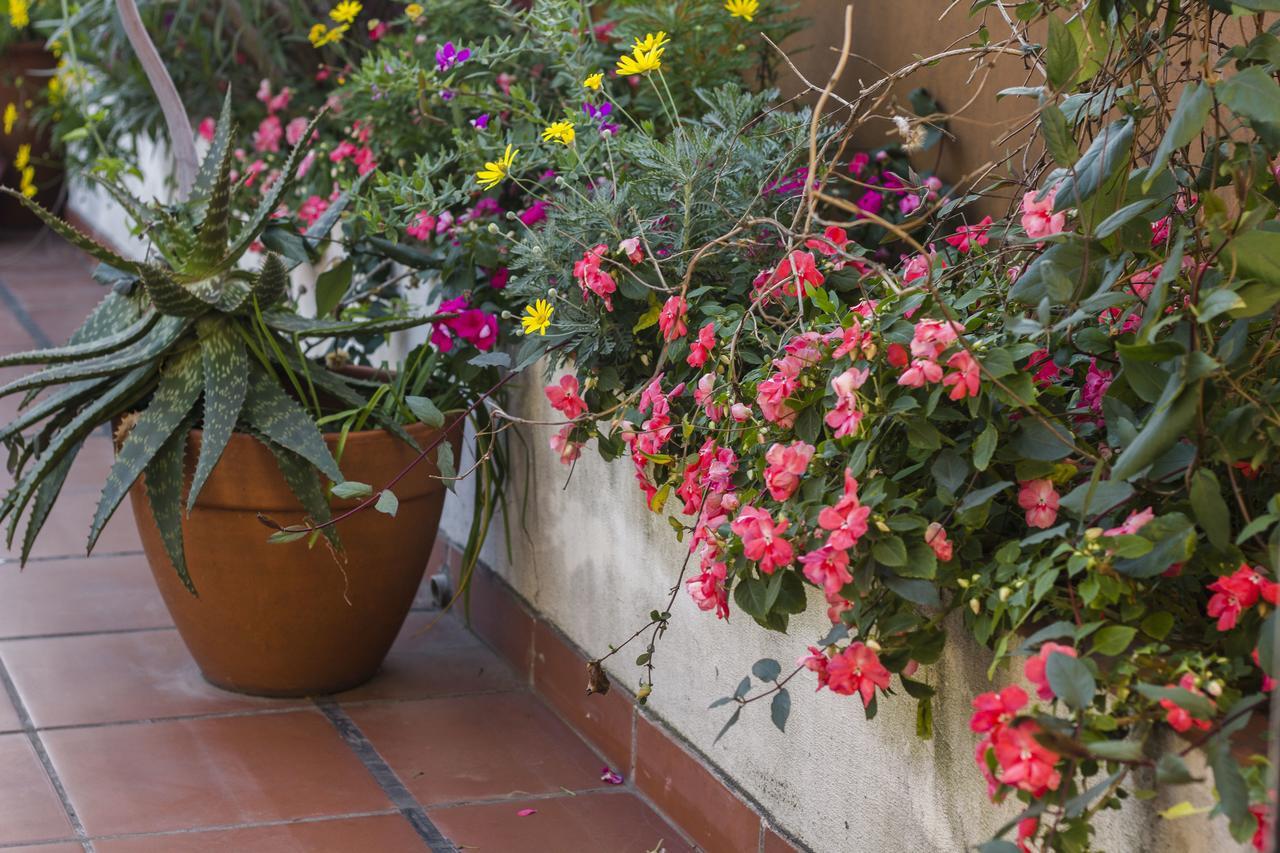 Abode Buenos Aires Bed and Breakfast Εξωτερικό φωτογραφία